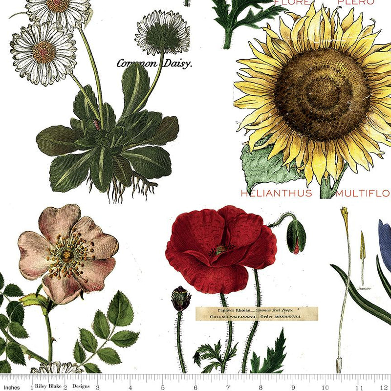 Art Journal Botanicals Flowers Multi
