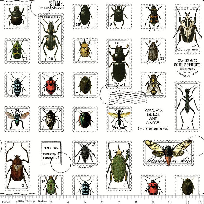 Art Journal Bug Specimens Multi