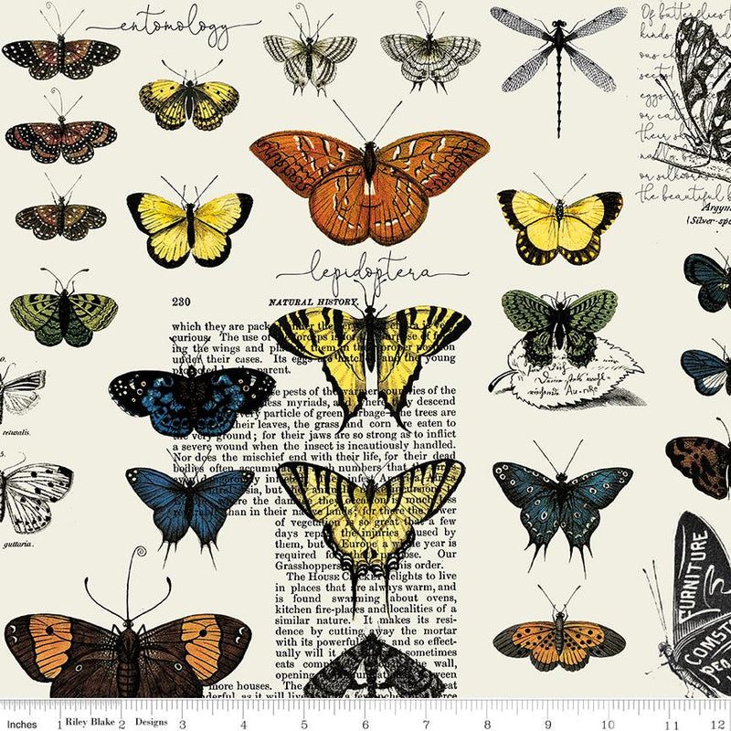 Art Journal Butterfly Specimens Light Gray