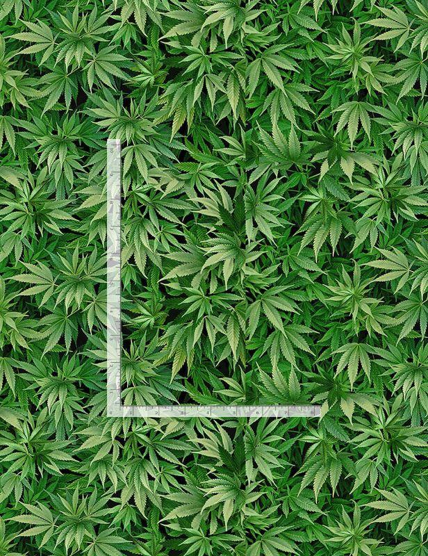 Cannabis Mini Green