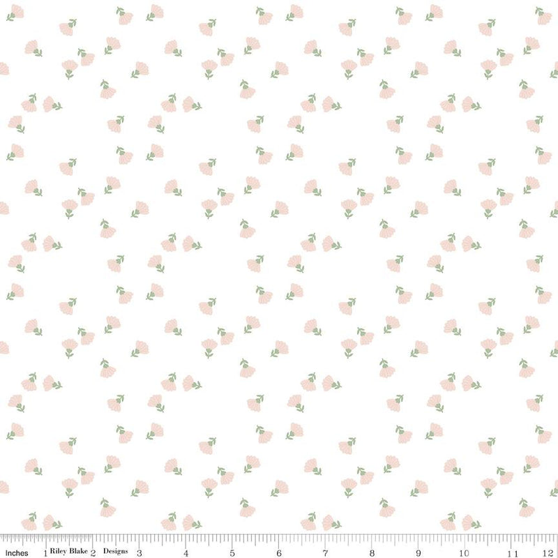 Hibiscus Ditzy Small Floral White