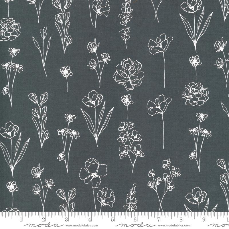 Illustrations Black and White Flower Stem Graphite