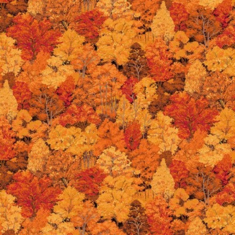 Landscape Autumn Trees