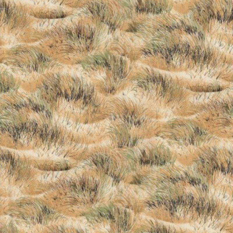 Landscape Dune Grasses