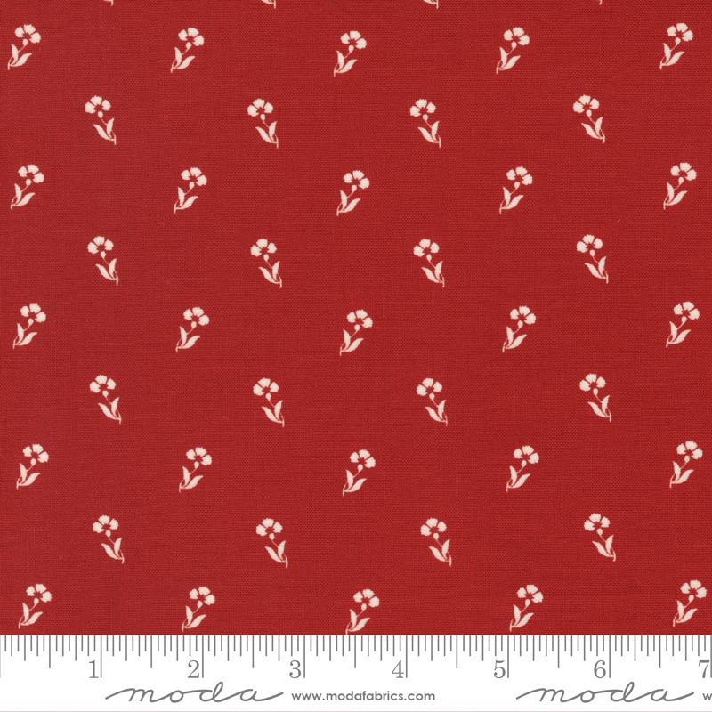 Red and White Gatherings Carnatio Crimson Red